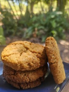 The current image has no alternative text. The file name is: Anzacs.jpg