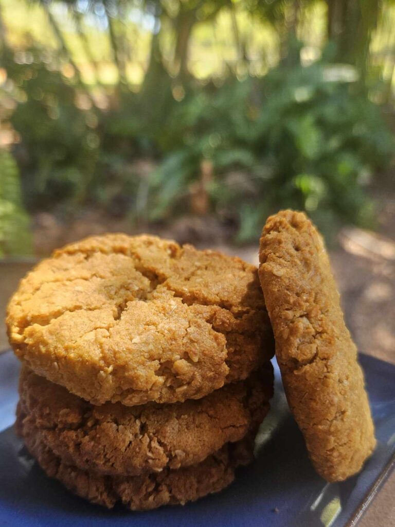 The current image has no alternative text. The file name is: Anzacs.jpg